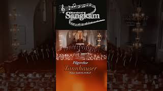 Pilgrims Chorus «Tannhauser» Male voice Choir SangKam  Hamar domkirke june 4 2023 music choir [upl. by Wolff]