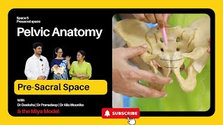 Pelvic Anatomy  Episode 05  Presacral space  Used for sacrocolpopexy or sacrohysteropexy [upl. by Ungley]