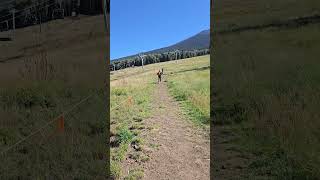 From Snowbowl To Summit Humphreys Peak In Flagstaff Arizona arizona [upl. by Hanschen]