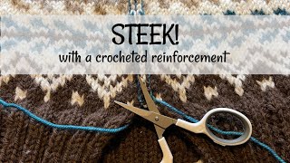 Cut a Steek with a Crocheted Reinforcement [upl. by Pacifica]