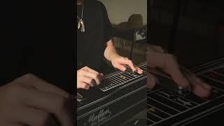 Whitey Morgan and the 78sFiddler’s Inn Pedal steel Cover [upl. by Rehpoitsirhc]