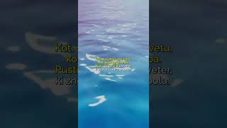 Luka Basi  Skrito v raju Karaoke Version music karaoke lukabasi [upl. by Webster151]