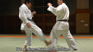 This is Lowkick from Wadoryu Karate [upl. by Nikolaus]