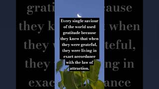 Gratitude quotes lawofattraction lawofattractionquotes gratitude gratitudelesson greatquotes [upl. by Rosenkranz432]