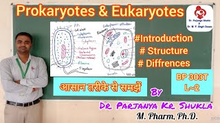 Transcription in prokaryotes in hindi [upl. by Noach538]