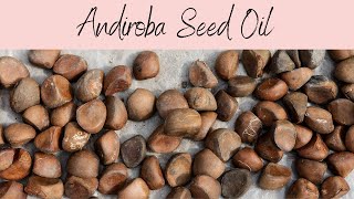 Andiroba Oil INCI Carapa Guinaensis Oil Limonoid Rich Cleansing Agent [upl. by Noble]