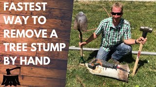 How To Remove A Tree Stump By Hand In 20 Minutes Or Less [upl. by Macdermot]