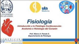 Fisiología Cardiovascular III Anatomía e Histología del Corazón [upl. by Ecilahs234]