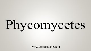 How To Say Phycomycetes [upl. by Porte400]