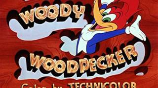 Woodpeckers from space HQ  Video Kids [upl. by Tommy]