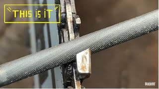 How to sharpen chainsaw chain with just a file  CLOSE UP VIEW [upl. by Harrison]