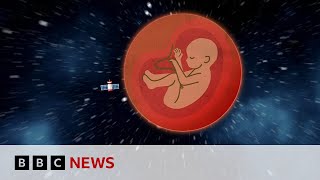 Could we have babies in space  BBC Ideas [upl. by Chaffin]