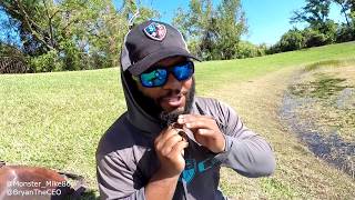 Bass Fishing With Beard  Monster Mike [upl. by Eymaj]