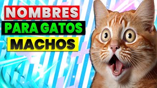 ⚡ Nombres Para Gatos Machos  Para tu Michí UNICO [upl. by Allemac]