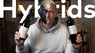 The FUTURE of WINE Diving into Hybrid Wines [upl. by Modnar159]