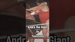 Andre the Giant vs Yokozuna [upl. by Demy]