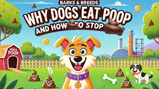 Why Does My Dog Eat Poop Understanding and Stopping Coprophagiaquot [upl. by Griseldis734]