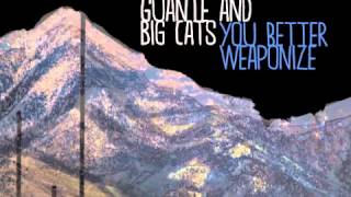 Guante amp Big Cats EVERYTHING BURNS [upl. by Viguerie]