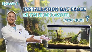 EPISODE 1  CREATION DE LAQUARIUM ET LE CYCLE DE LAZOTE  BAC ECOLE  ANI MOOD [upl. by Nitnert]