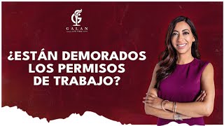 ¿Están demorados los permisos de trabajo [upl. by Zebaj]