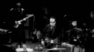 Elvis Costello  Blame It On Cain Live [upl. by Eardnoed]