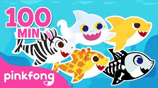 Baby Shark Which Animal did you Turn Into  Kids Stories amp Songs  Compilation  Pinkfong for Kids [upl. by Yrroc239]