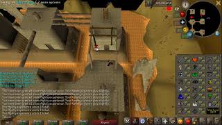 40m Agility Xp Record  Brimhaven Tickets [upl. by Nielson604]