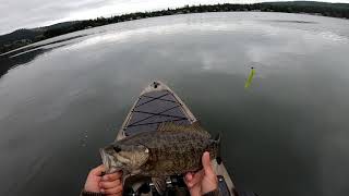 SmallMouth Smash Bass Fishing on a Calm Lake [upl. by Conlan]