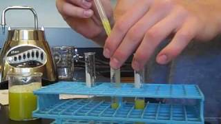 DNA Extraction from Peas [upl. by Florry]