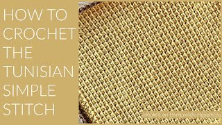 How to Crochet the Tunisian Simple Stitch [upl. by Ingra124]