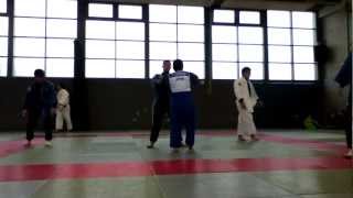 Japanese Judo Training II [upl. by Ermengarde]