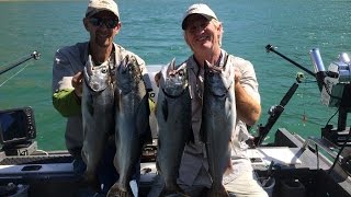 Lake Berryessa King Salmon [upl. by Rebliw]