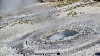 Beach Spring Old Faithful Upper Basin Yellowstone National Park [upl. by Kelwin]