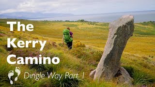 The Kerry Camino 👣 Dingle Way Part 1 [upl. by Esmond447]