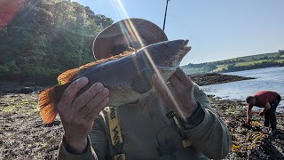 Fishing the Menai Straits BIG wrasse [upl. by Torto795]