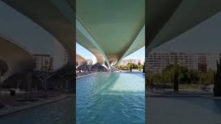 Cidade das Artes e da Ciência Valencia  Espanha [upl. by Danas363]