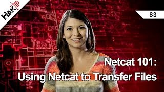 Netcat 101 Using Netcat to Transfer Files Haktip 83 [upl. by Karlik]