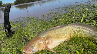 2 DÍAS PESCANDO “ Pesca y Cocina “ Naturaleza y Exploración [upl. by Fishman]