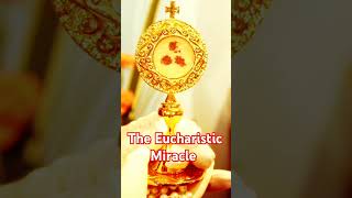 Eucharistic miracle peace eucharist angel love hope eucharisticmiracles shorts [upl. by Ycnay72]