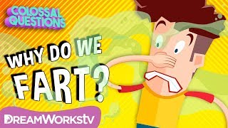 Why Do We Fart  COLOSSAL QUESTIONS [upl. by Fidela]