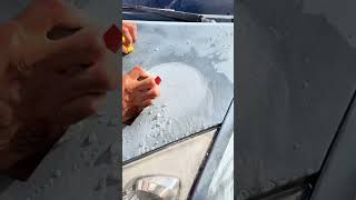 Zımpara işlemi automobile detailwork shortvideos detailes details autodetail satisfying [upl. by Klein]