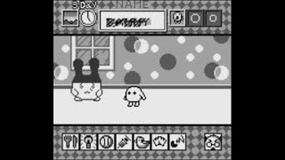 TAMAGOTCHI GAMEBOY STUDY GAME CRASH [upl. by Abagail]