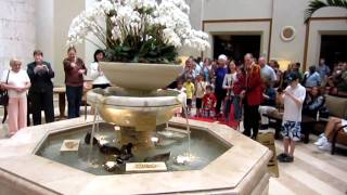 March of the Peabody Ducks [upl. by Aniretak]