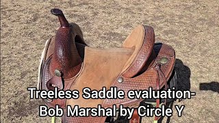 Treeless Saddle Evaluation of a Bob Marshall by Circle Y  Fitting a hard to fit Curly Horse [upl. by Incrocci]