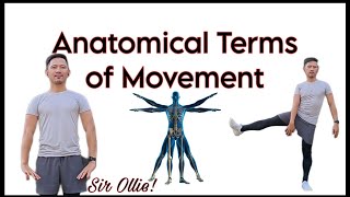 Anatomical Terms of Movement [upl. by Timotheus]