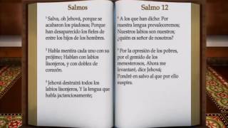 La Palabra de Dios Salmos 1 al 96 Biblia hablada RV 1960 [upl. by Rouvin]