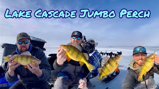 Lake Cascade Idaho Ice Fishing for Jumbo Perch [upl. by Sellihca457]