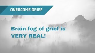 The Brain Fog of Grief [upl. by Annairb776]