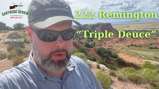 Rifle Cartridge Review 222 Remington [upl. by Annoerb563]