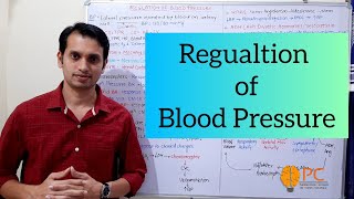 Blood Pressure Regulations  Regulatory Pathways of Blood Pressure [upl. by Campney88]